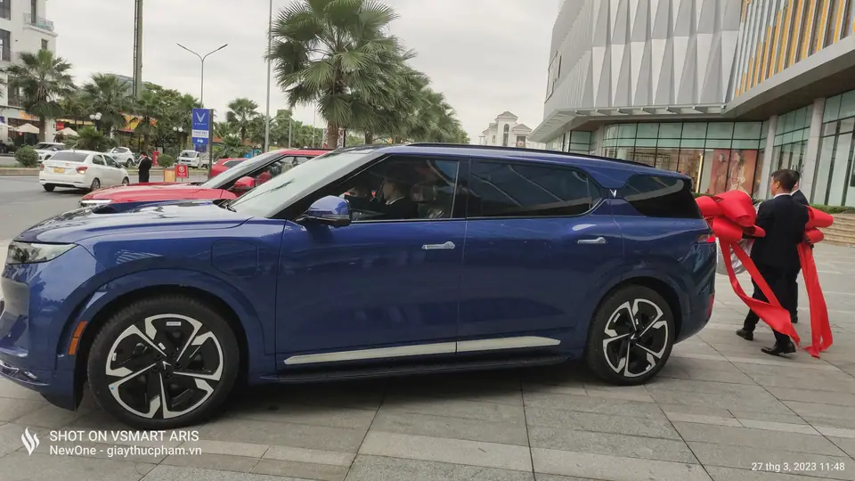 Vinfast VF 6 Plus