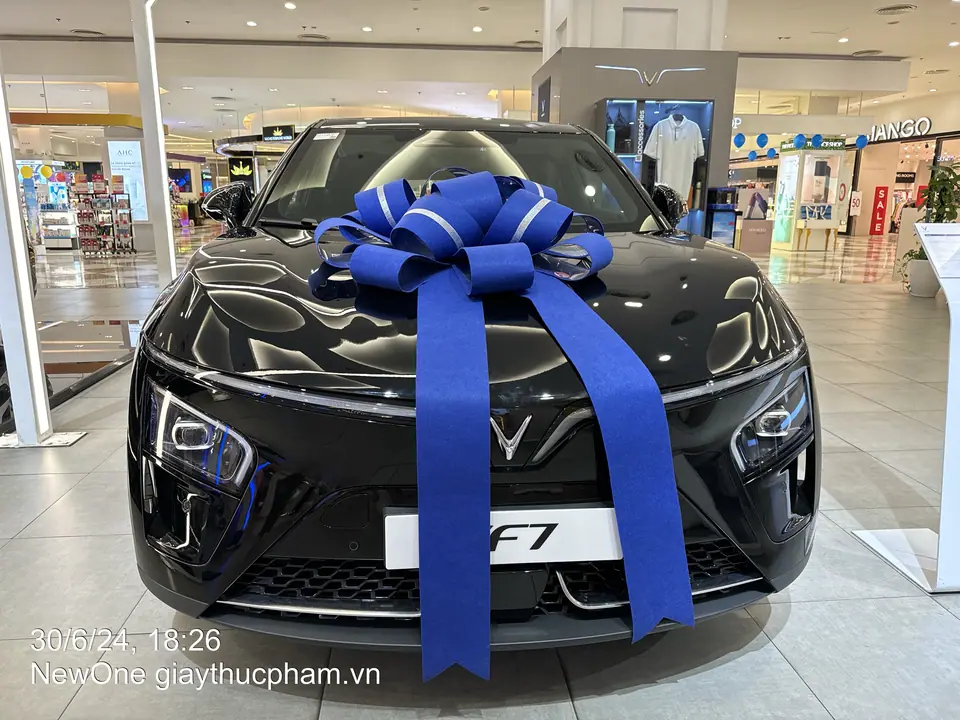Vinfast VF 7 Plus