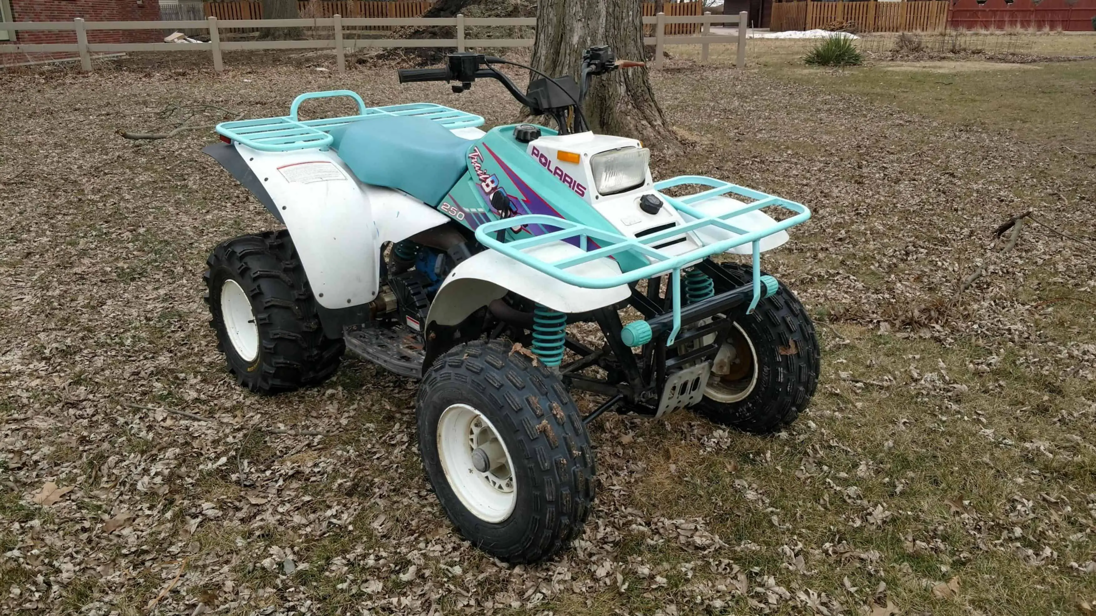 Polaris Trail Boss 250