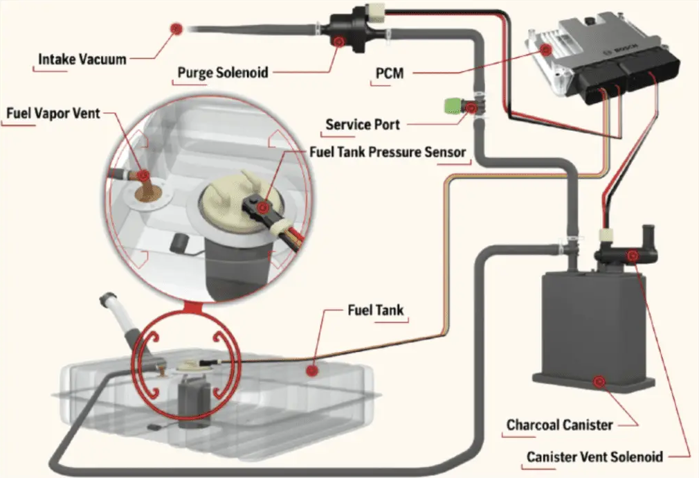 EVAP system of car